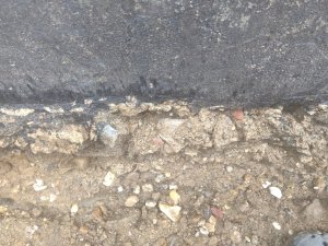 IMG_20250721_165409.jpg