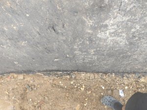 IMG_20250721_165415.jpg