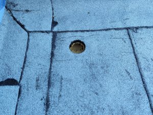 IMG_20250622_203208.jpg