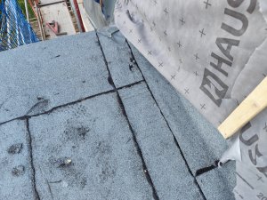 IMG_20250622_203217.jpg