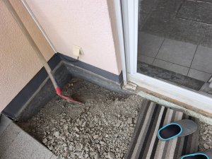 IMG_20250722_085220.jpg