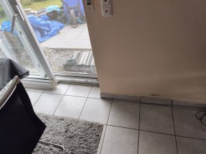 IMG_20250722_085206.jpg