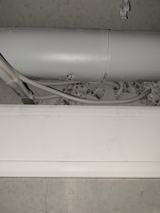 PXL_20250723_192256478.jpg