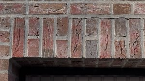 IMG_3294.jpeg