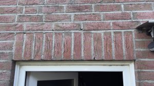 IMG_3300.jpeg
