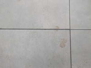 1 (11).jpg