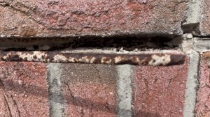 IMG_3301.jpeg