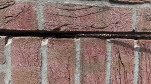 IMG_3302.jpeg