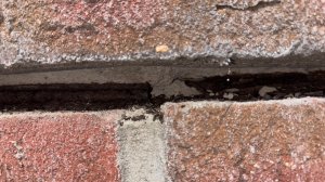 IMG_3304.jpeg