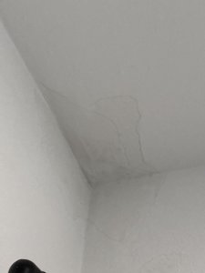 IMG_4410.jpeg