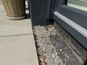 IMG_0515.jpeg