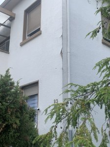 IMG_1793.jpeg