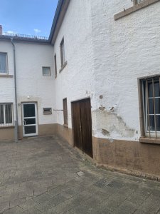 IMG_1800.jpeg