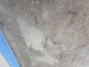 20250727_133139.jpg