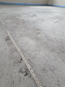 20250727_131831.jpg