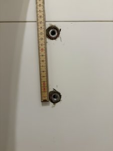 IMG_1401.jpeg