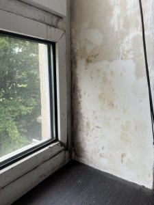 IMG_9786.jpeg