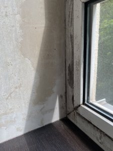 IMG_9787.jpeg