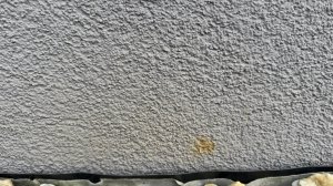 IMG_8801.jpeg