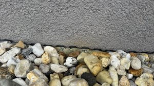 IMG_8800.jpeg