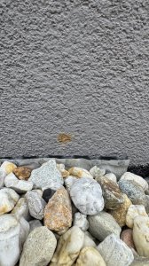 IMG_8802.jpeg
