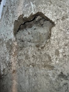 IMG_8819.jpeg