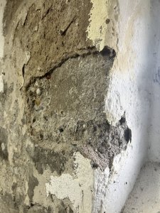 IMG_8824.jpeg