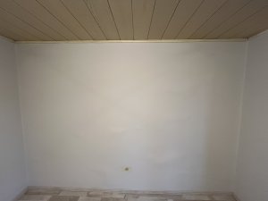 IMG_4539.jpg
