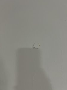 IMG_0549.jpeg