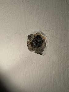 IMG_0594.jpeg