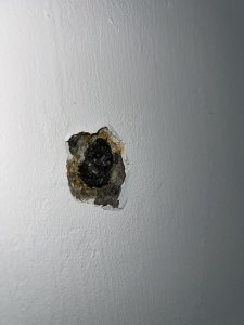 IMG_0593.jpeg