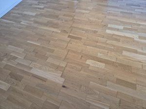 20250730_200100.jpg