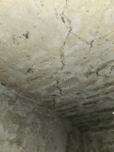 20250730_173712.jpg