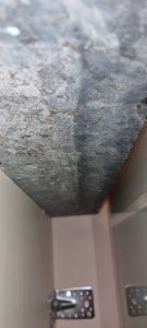20250724_185226.jpg