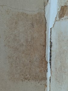 PXL_20250724_084536763.jpg