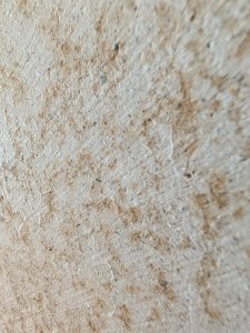 PXL_20250724_084540917.jpg