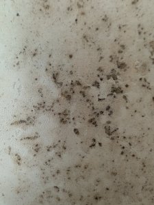 PXL_20250724_084615579.jpg