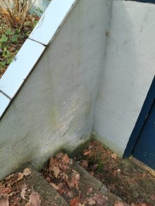 IMG_20250503_083949.jpg