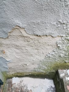 IMG_20250802_182415.jpg