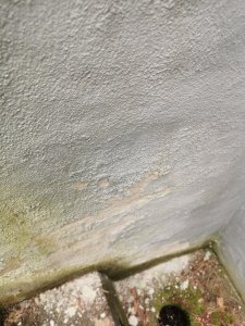 IMG_20250803_131757.jpg