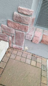 20250804_082514.jpg