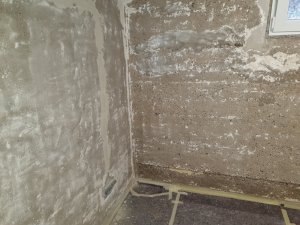 20250804_100347.jpg