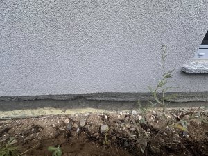 IMG_4496.jpeg