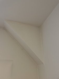 IMG_3248.jpeg