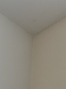 IMG_3245.jpeg