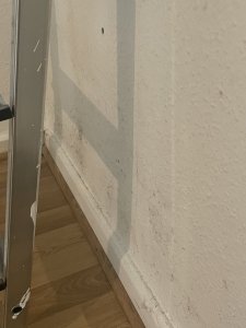 IMG_3246.jpeg