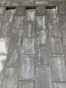 IMG_1118.jpeg