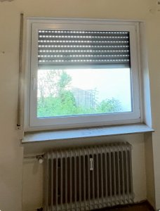 IMG_1900.jpeg