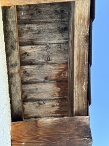 IMG_8767.jpeg