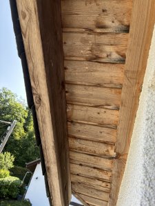 IMG_8766.jpeg